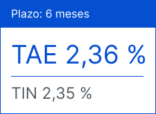 Plazo 6 meses